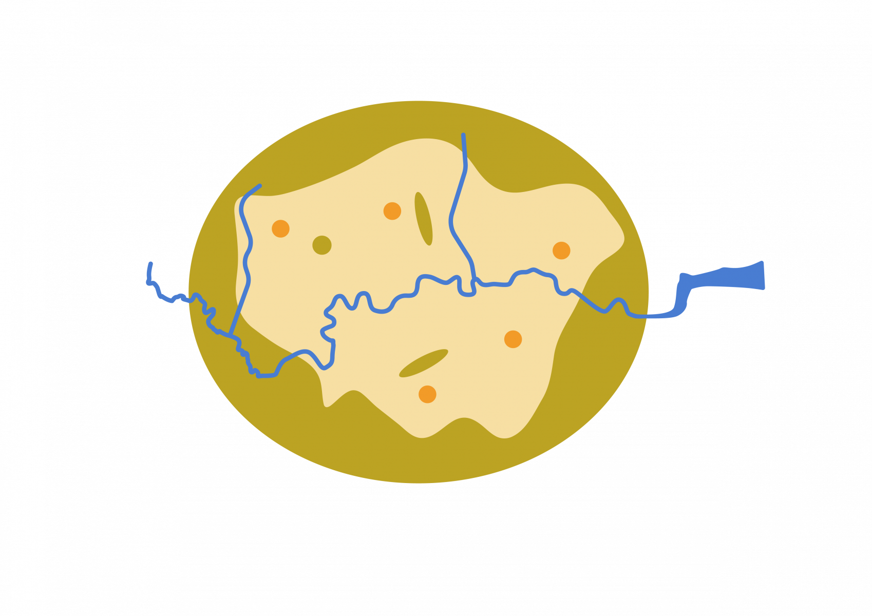 03 Egg4 Stylised green belt Scrambled