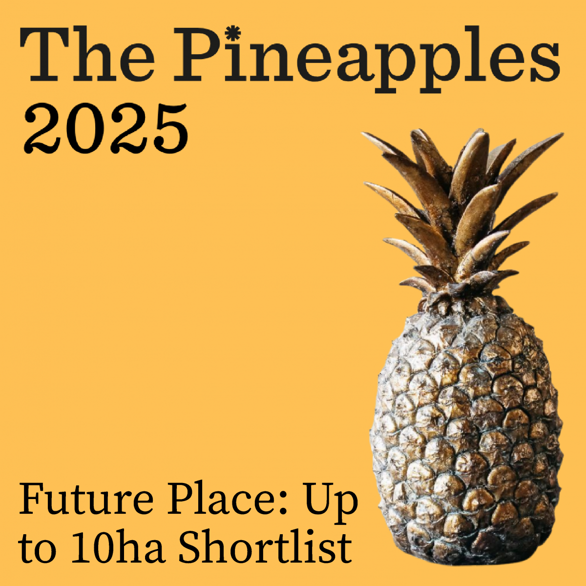 04 250124 The Pineapples for l Inked In 110