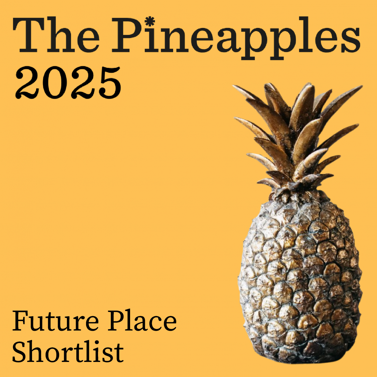 04 250124 The Pineapples for l Inked In 112