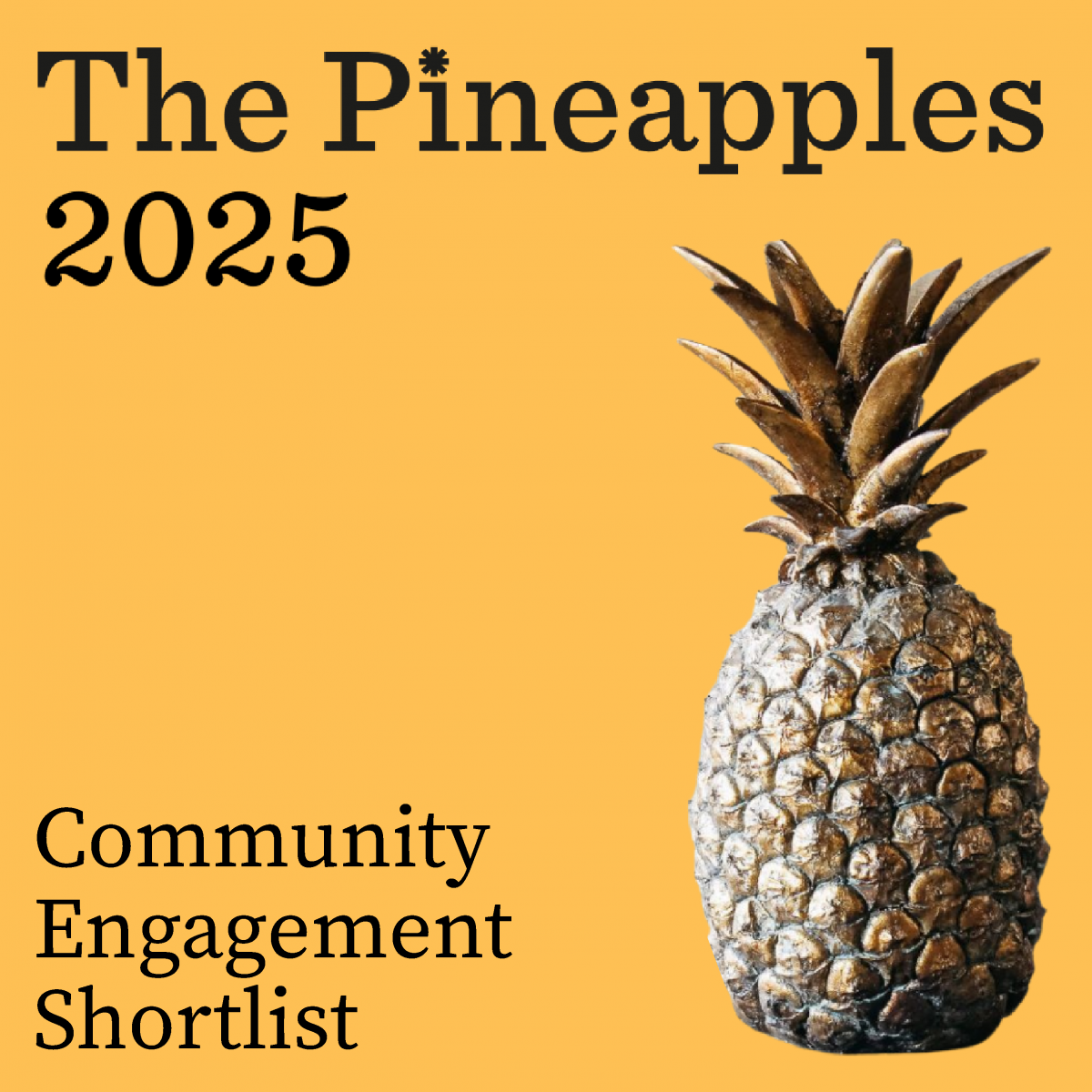 04 250124 The Pineapples for l Inked In 14