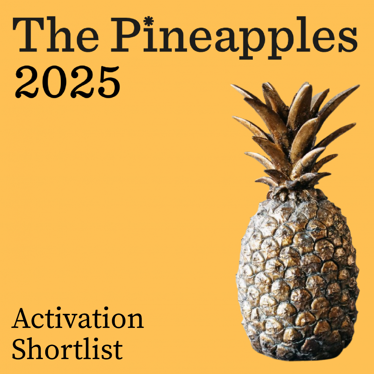 04 250124 The Pineapples for l Inked In 18