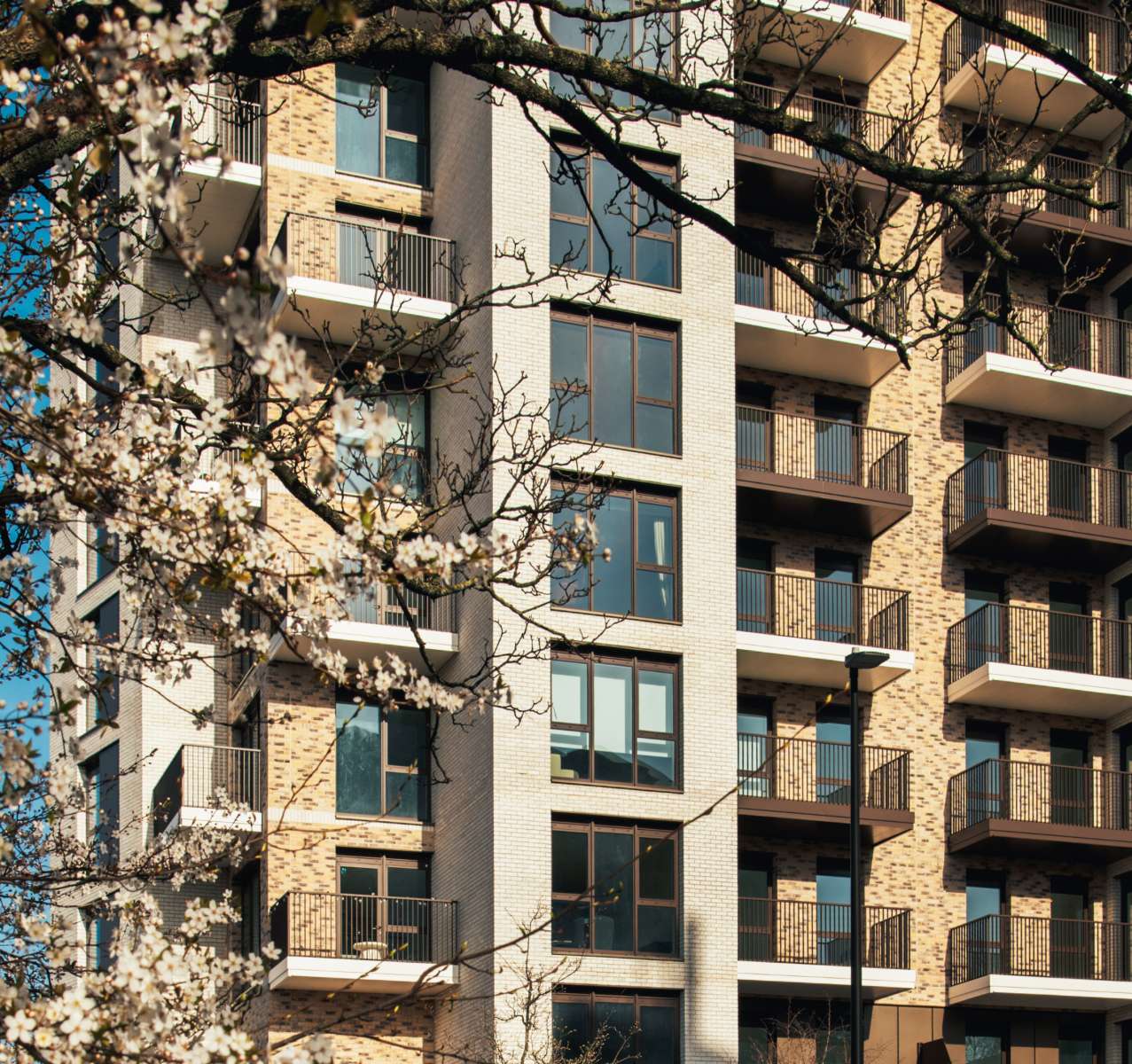 260225 Bow Green Phase 1 191 2