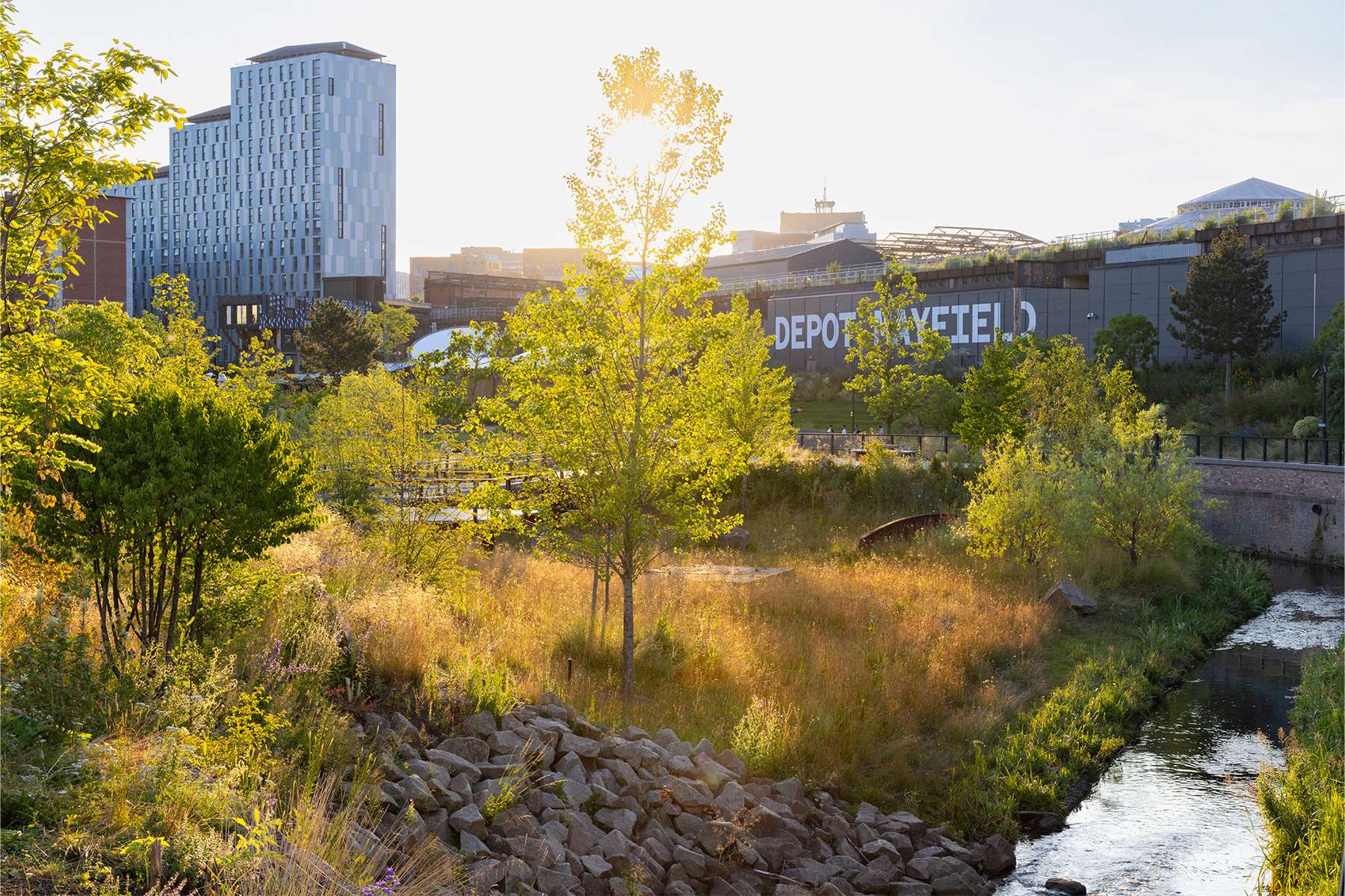Mayfield 3