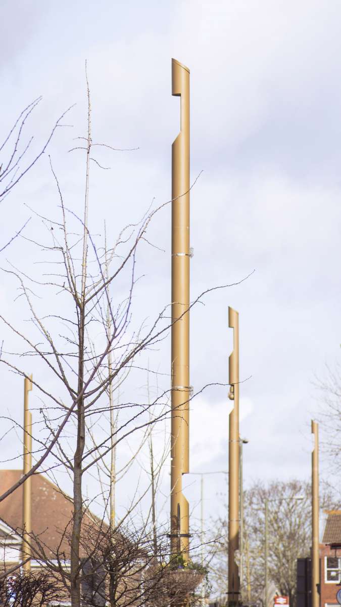 DSC 7310