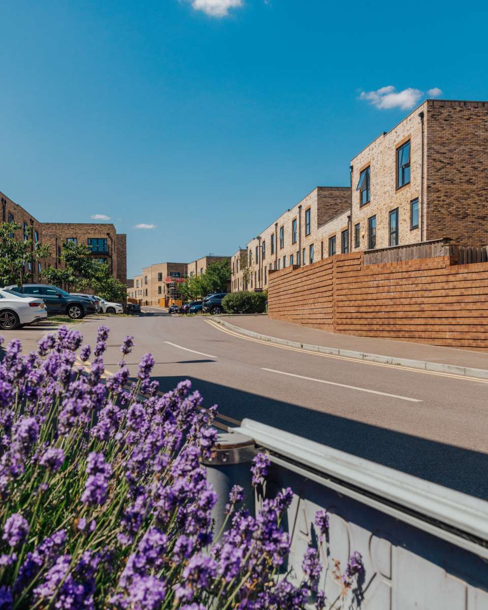 250618 Erith Lime Wood Primary School 5