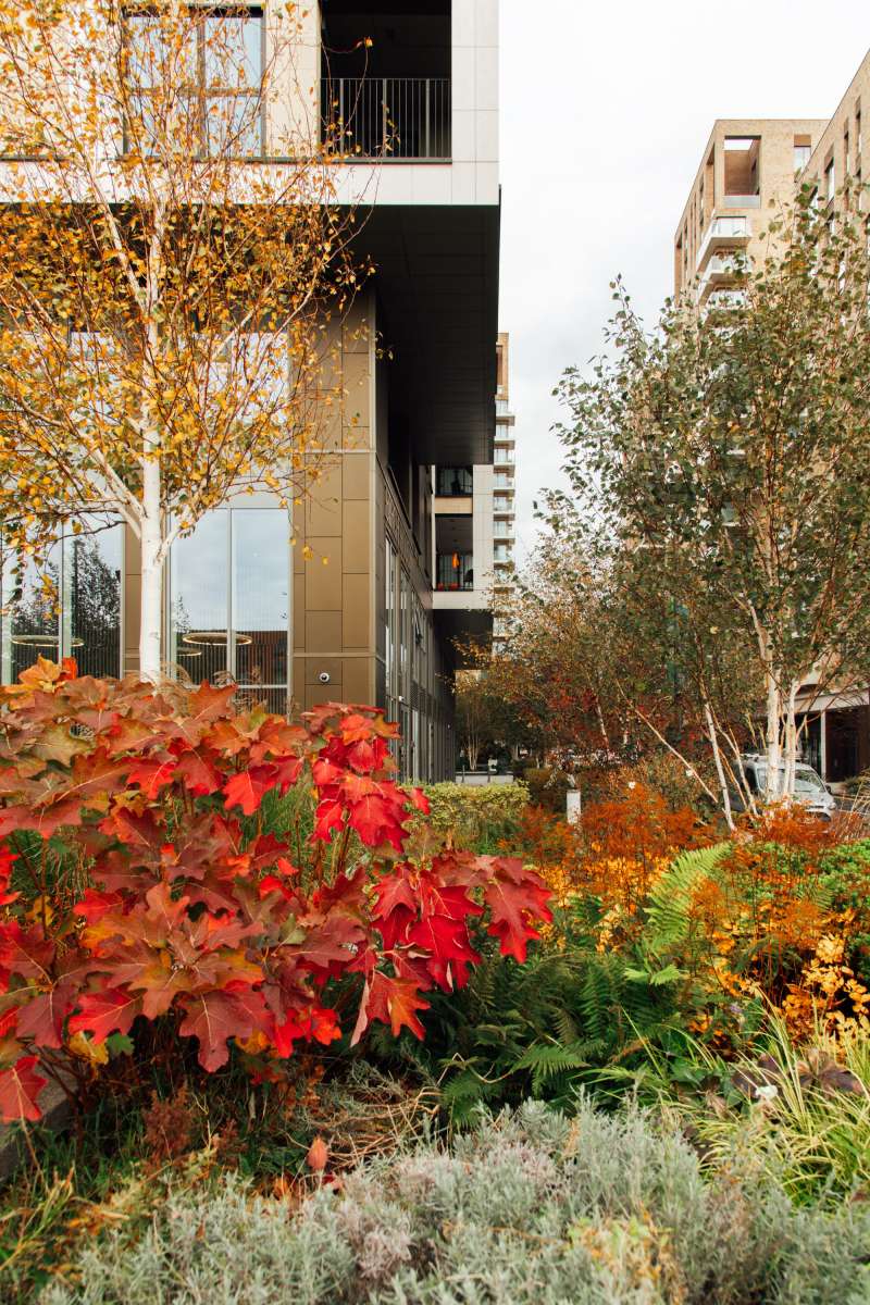 251105 Kidbrooke Birch House 30