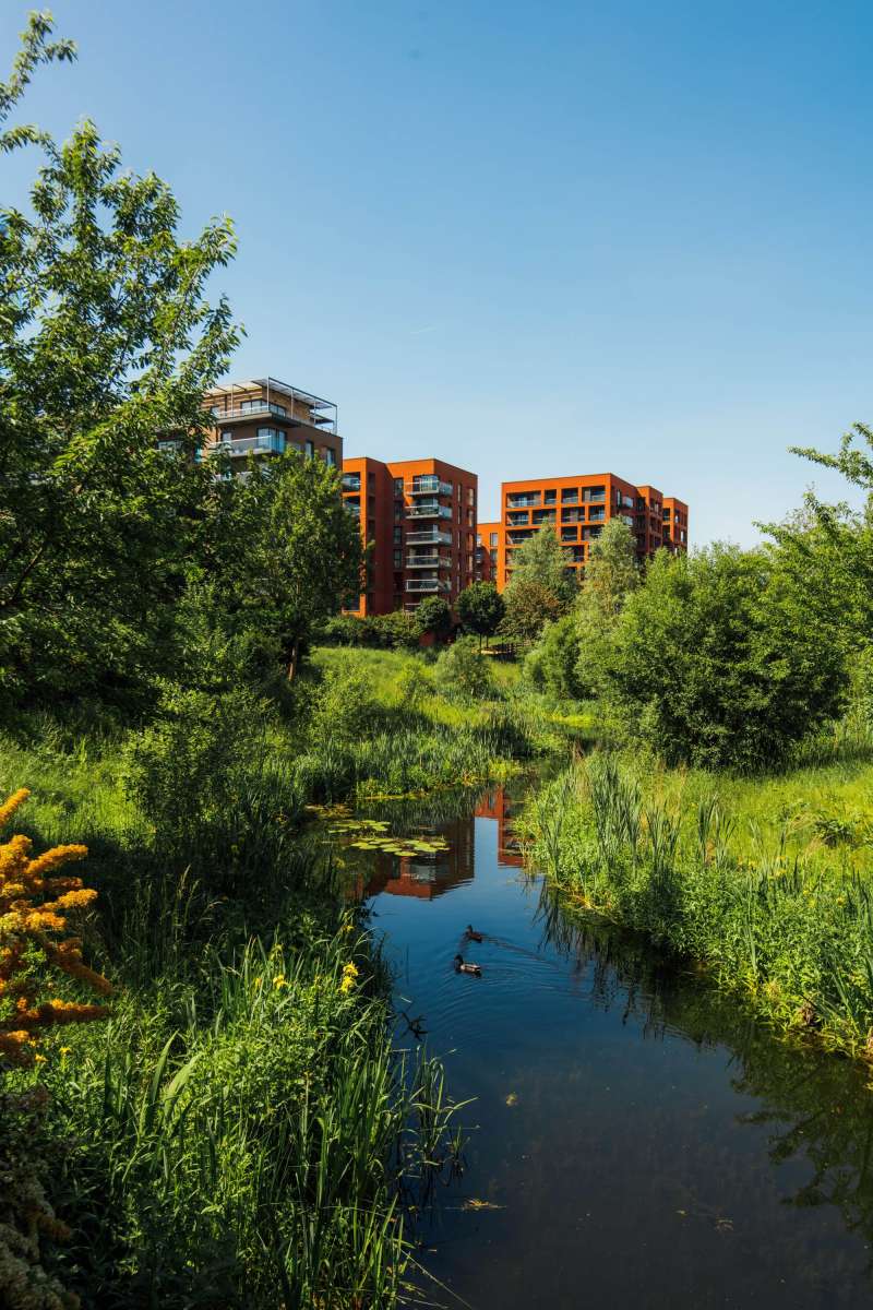 260526 Kidbrooke Birch House 179