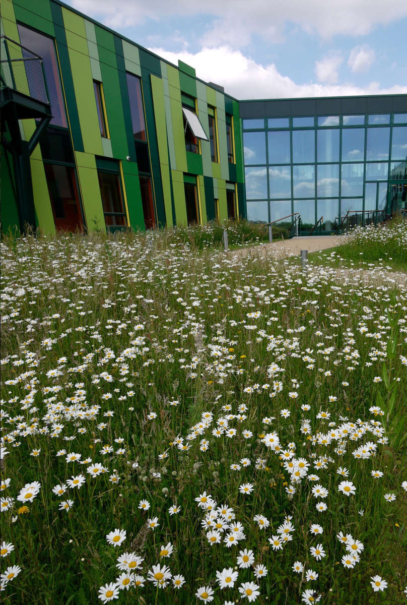 Nottingham Science Park Studio Egret West Image 14