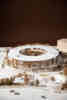 Erith Quarry School Architecture Model Photography Circular Building Design Jarrell Goh 8